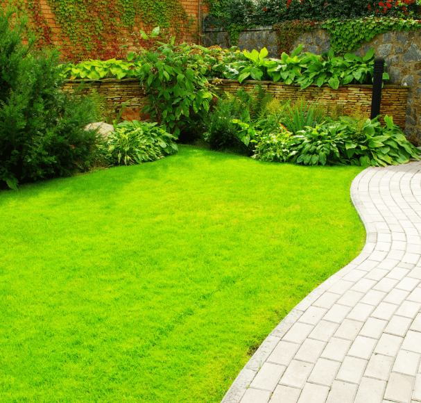 Service Image
